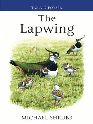 cover image of The Lapwing